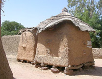 habitat bambara